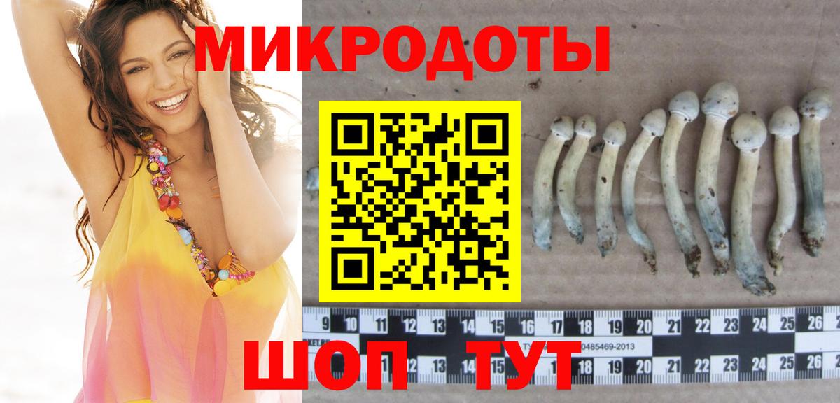 Благодарный  Псилоцибиновые грибы Magic Shrooms  Вход с VPN  Галлюциногенные грибы Psilocybine cubensis 