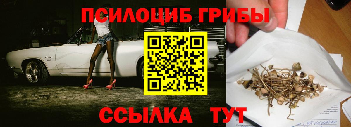 Галлюциногенные грибы прущие грибы Благодарный